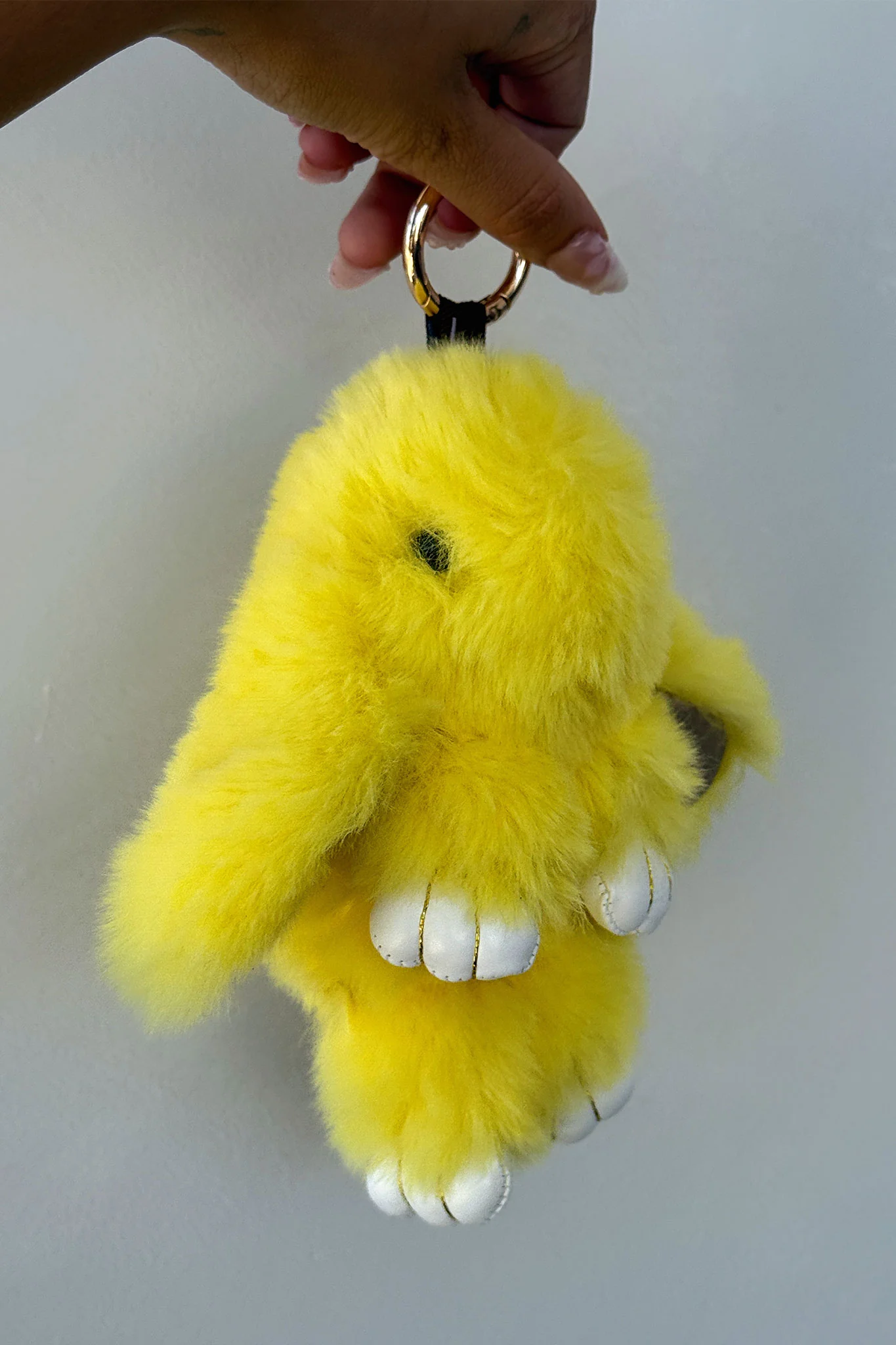 Fetchies - Image 12